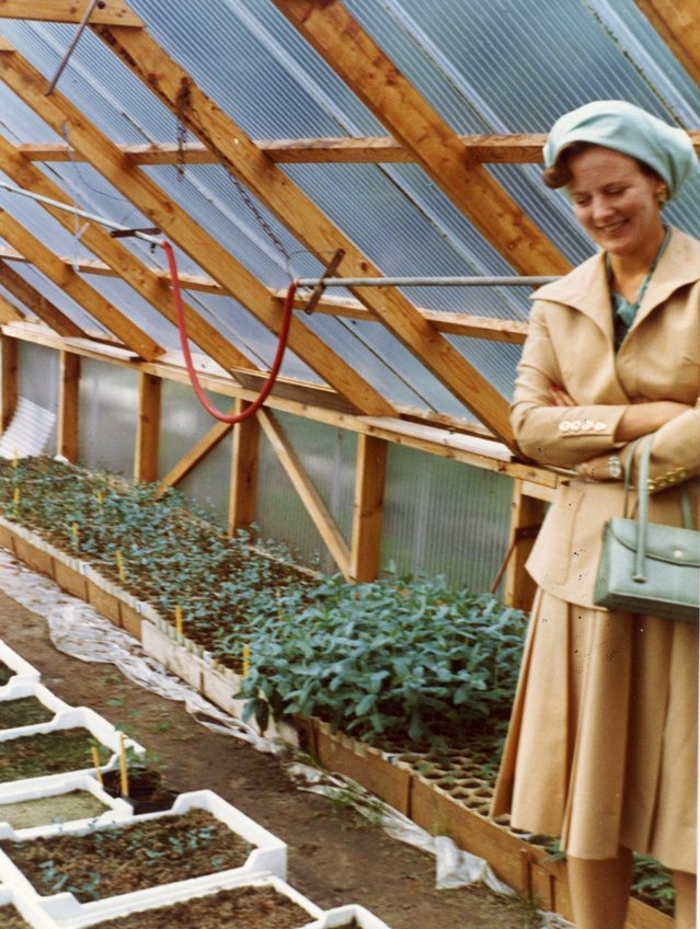Dronning Margrethe i skovfoged Apollos drivhus på Overgaard Gods. Den 13.08.1974